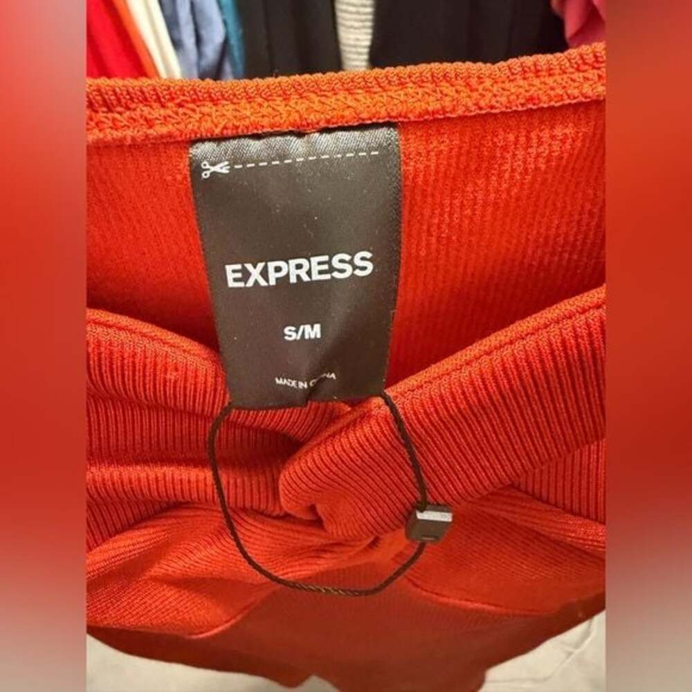 Express Strapless Rust Dress - Picture 4 of 4